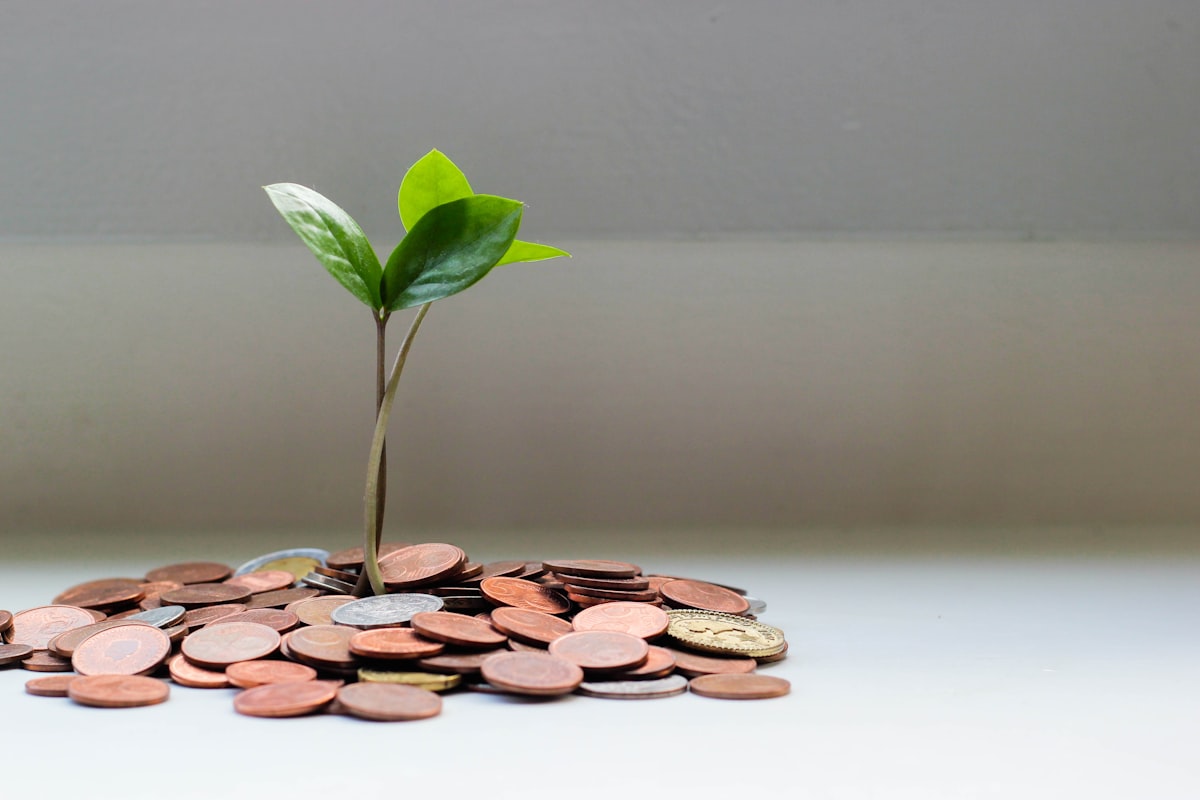 Salary Sacrifice vs Auto-Enrolment: Maximize Tax Savings